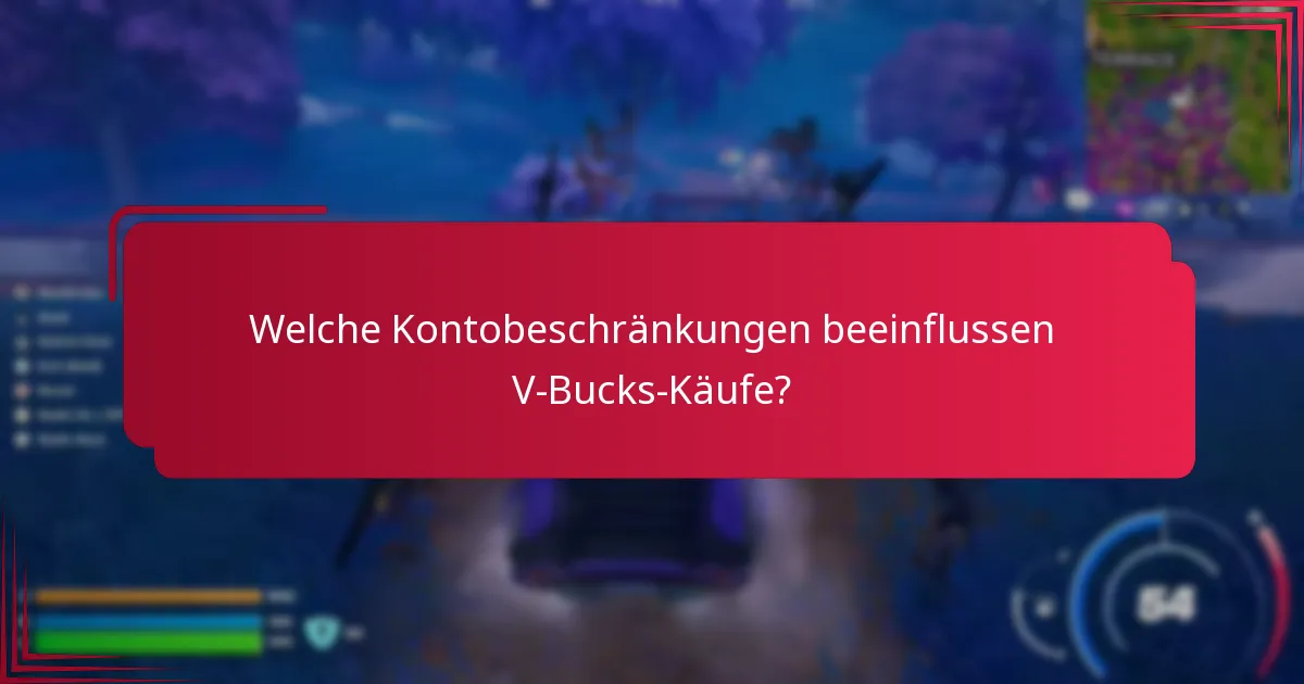 Was sind häufige Probleme bei V-Bucks-Käufen?