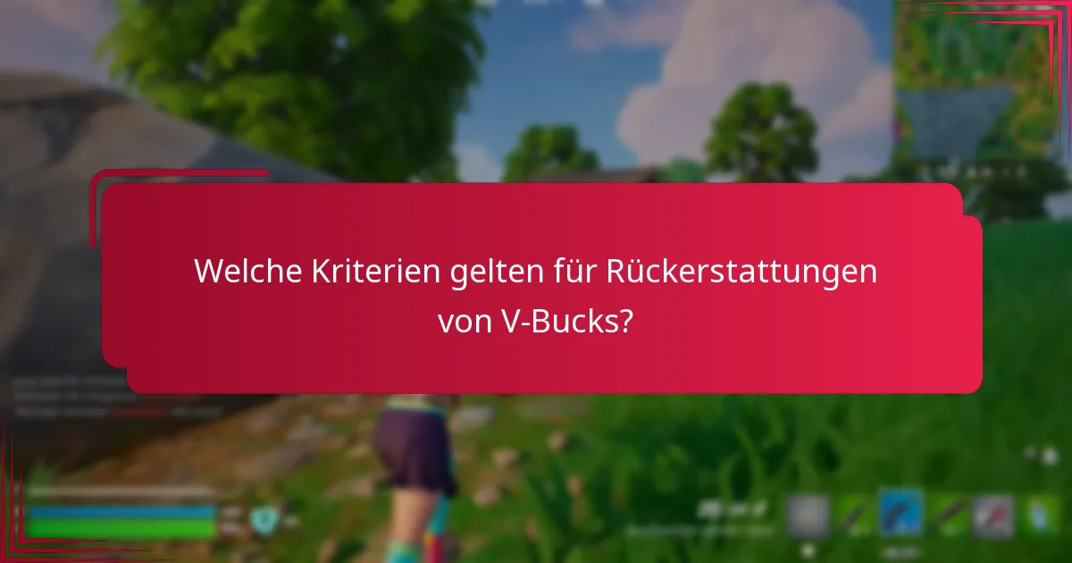 Was sind häufige Probleme, die während des Rückerstattungsprozesses auftreten?
